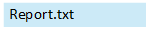 "Report.txt" on a blue background